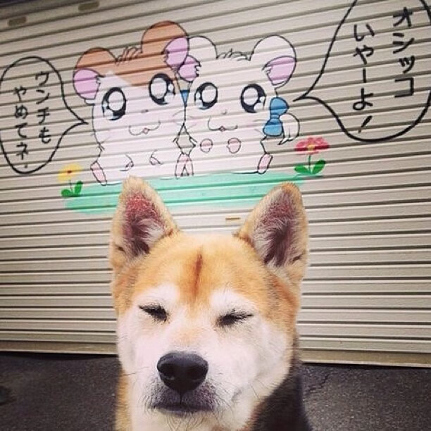 当巴拉圭爆冷希腊,一场跨越体育维度的总决赛隐喻