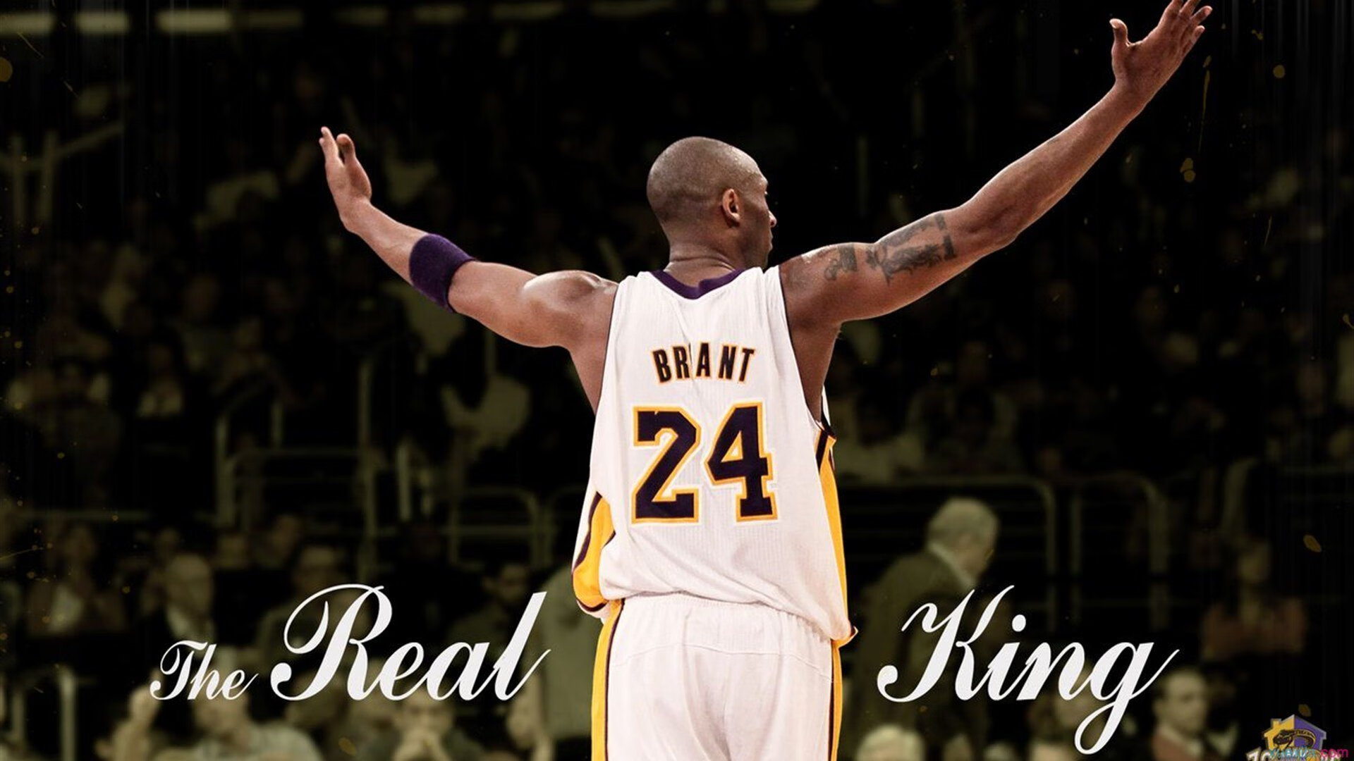 加克波在伊拉克vs挪威之战中,给亚洲足球上了一堂价值千金的实战教科书